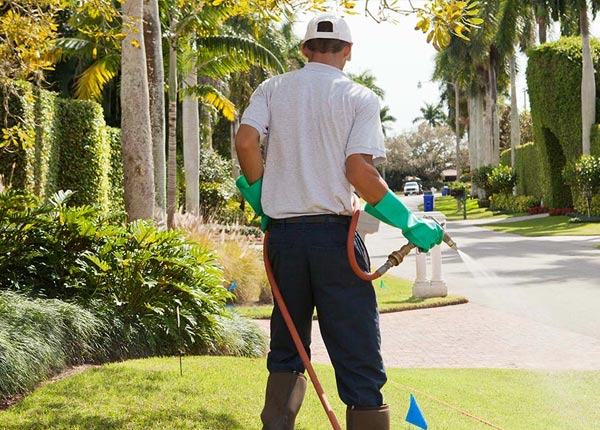 About Pedricktown NJ Pest Control Pros